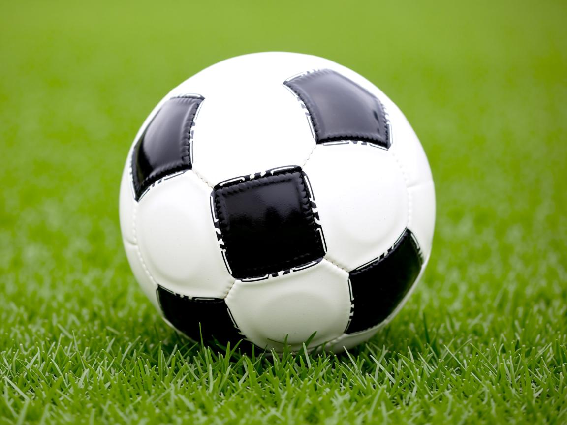 开云在线入口-“2025世界运动会:高新体育中心武术赛场,选手空灵招式引爆全场” 第3张