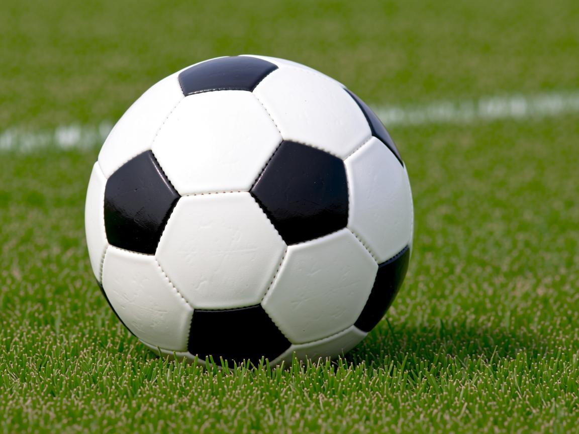 开云体育在线入口-“2025世界运动会：高新体育中心武术选手拼技巧，精彩绝伦”