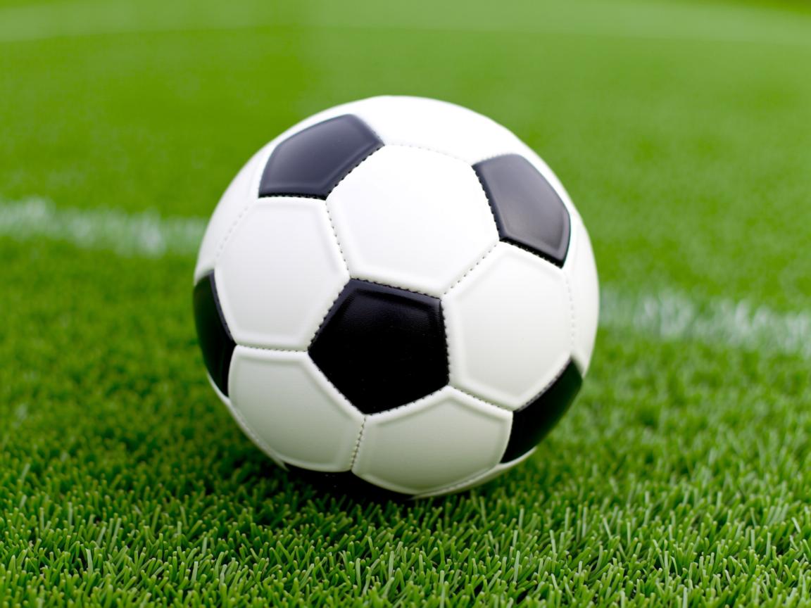 开云官网-奥运备战各项准备工作扎实推进,奥运备战各项准备工作扎实推进什么 第2张